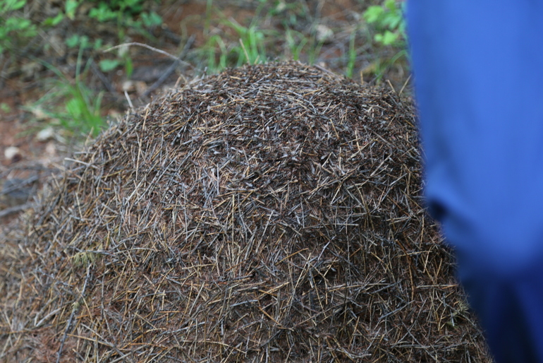 点击查看原图大小