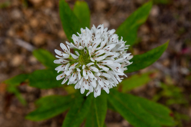 点击查看原图大小