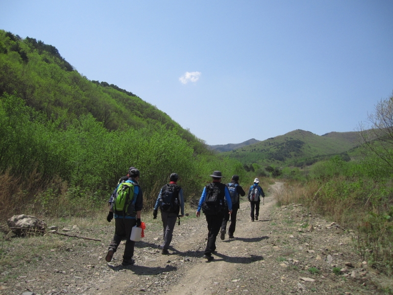 点击查看原图大小