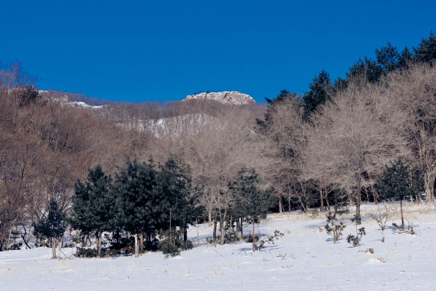 点击查看原图大小