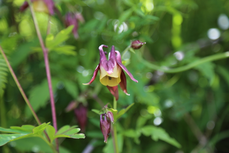 点击查看原图大小