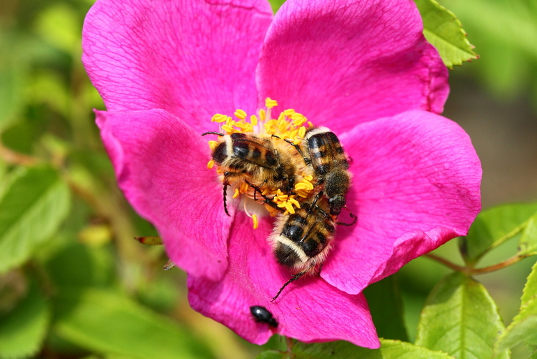 点击查看原图大小