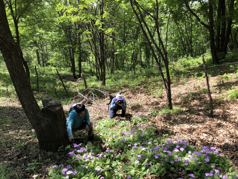 点击查看原图大小