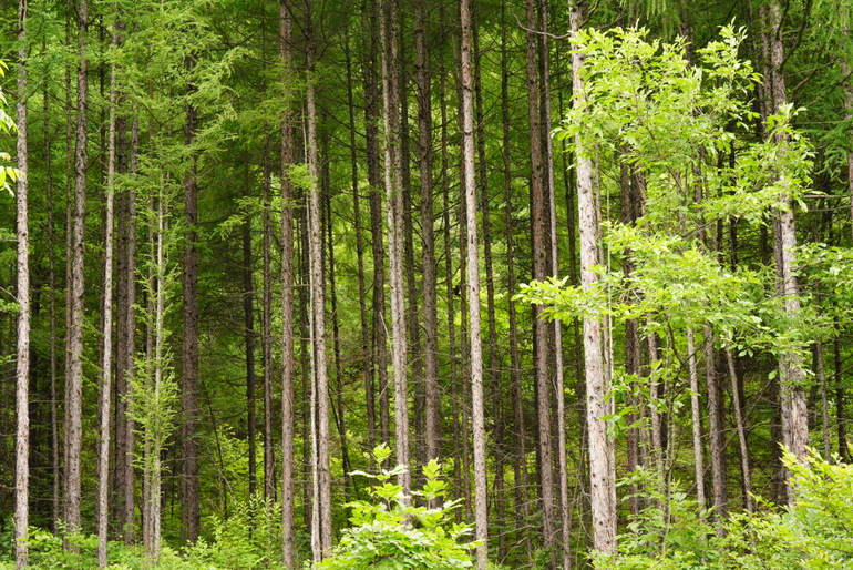点击查看原图大小