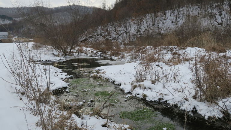 点击查看原图大小