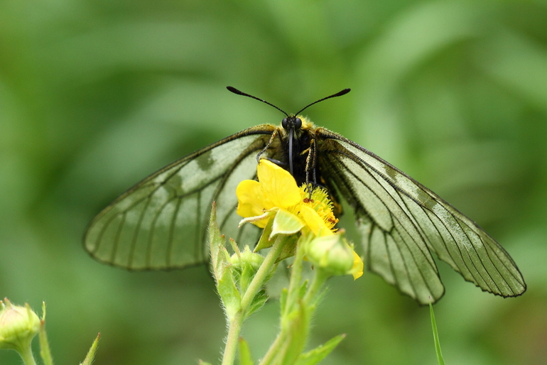 点击查看原图大小