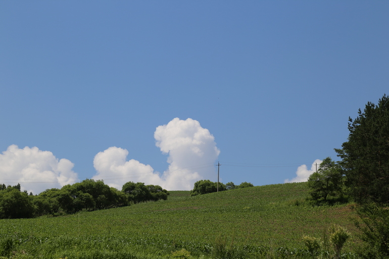 点击查看原图大小
