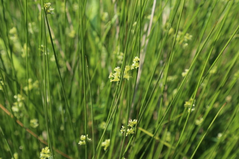 点击查看原图大小