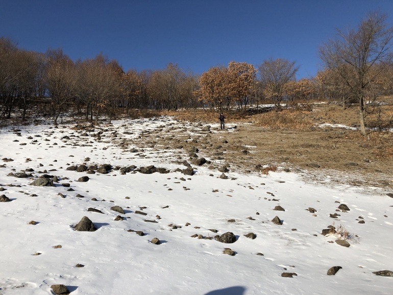 点击查看原图大小