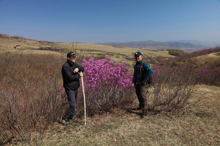 点击查看原图大小