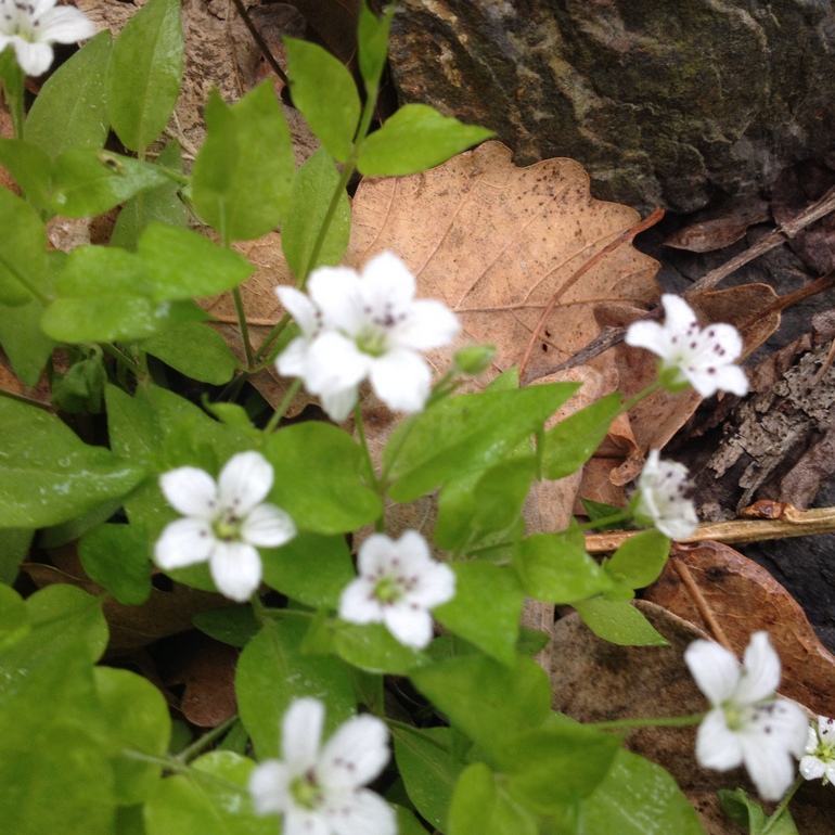 点击查看原图大小