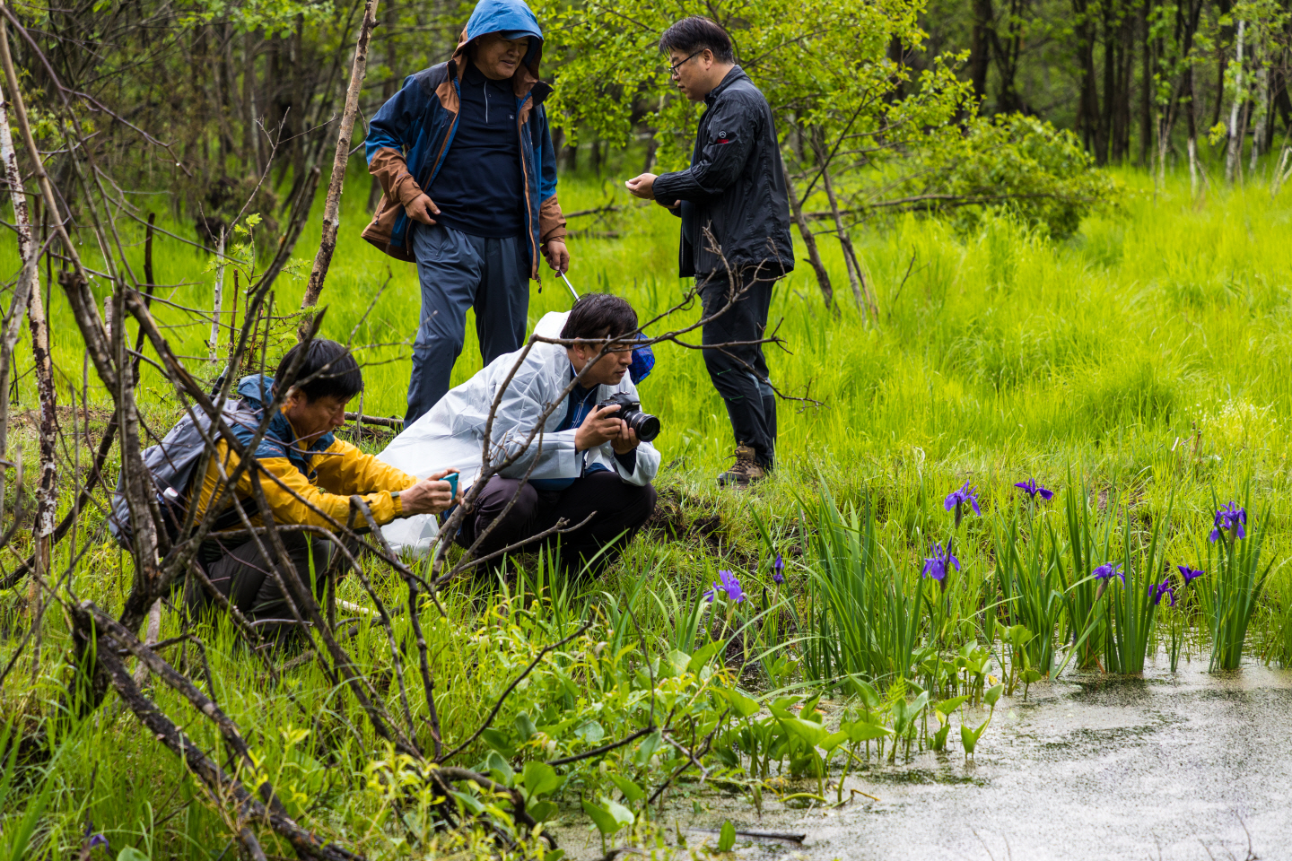 点击查看原图大小