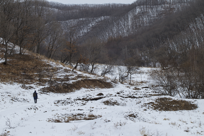 点击查看原图大小