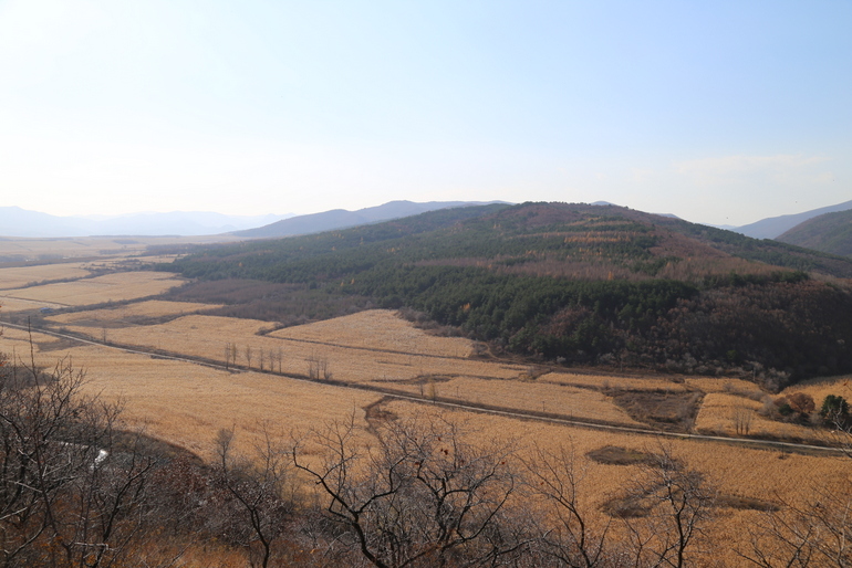 点击查看原图大小