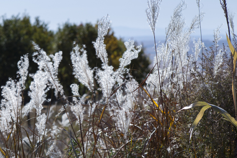 点击查看原图大小