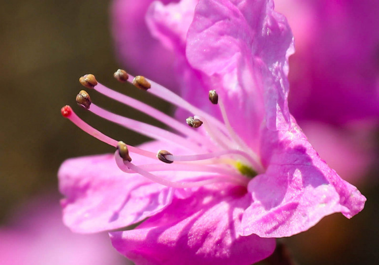 点击查看原图大小