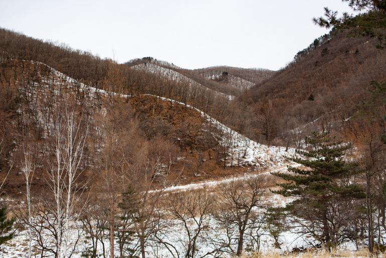 点击查看原图大小