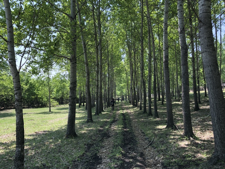 点击查看原图大小