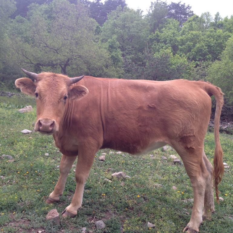 点击查看原图大小