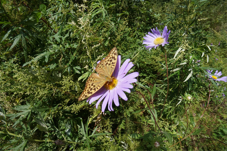 点击查看原图大小