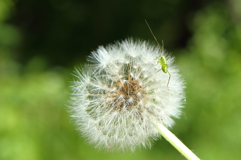 点击查看原图大小