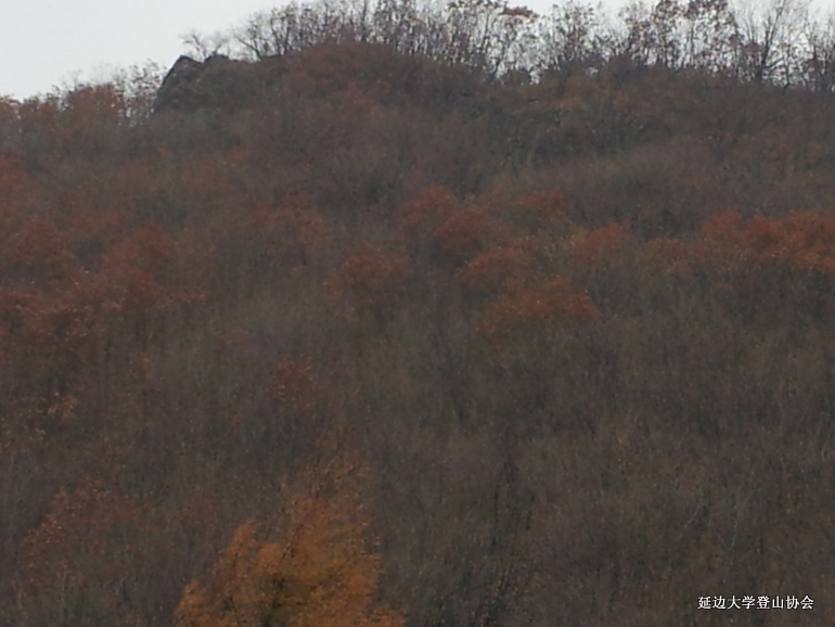 点击查看原图大小