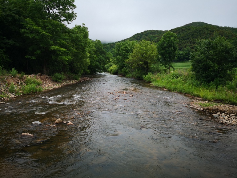 点击查看原图大小