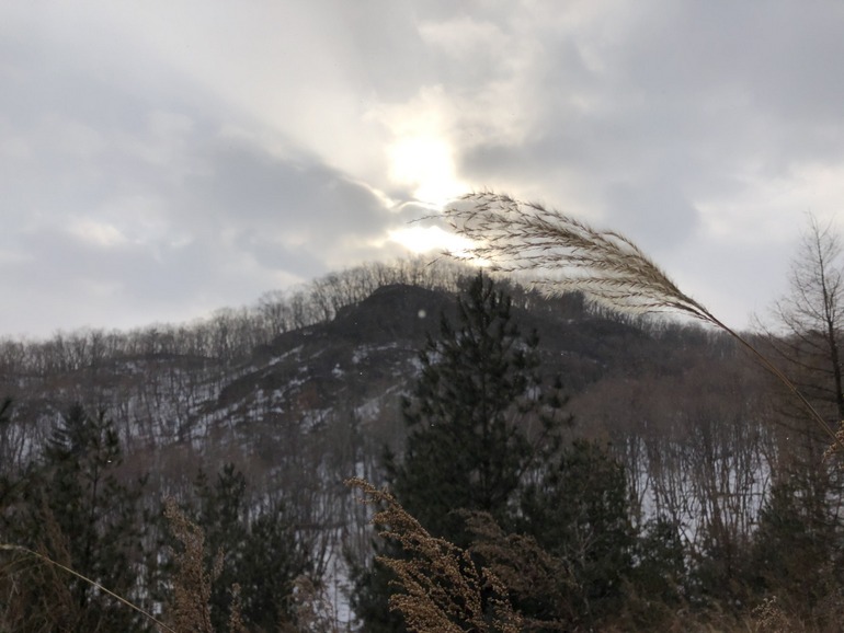 点击查看原图大小