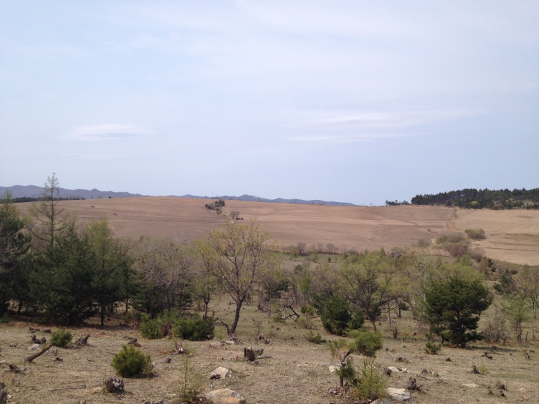 点击查看原图大小