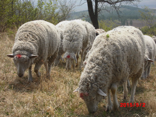点击查看原图大小