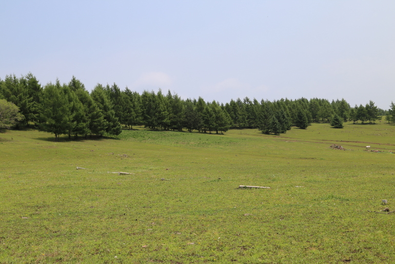 点击查看原图大小