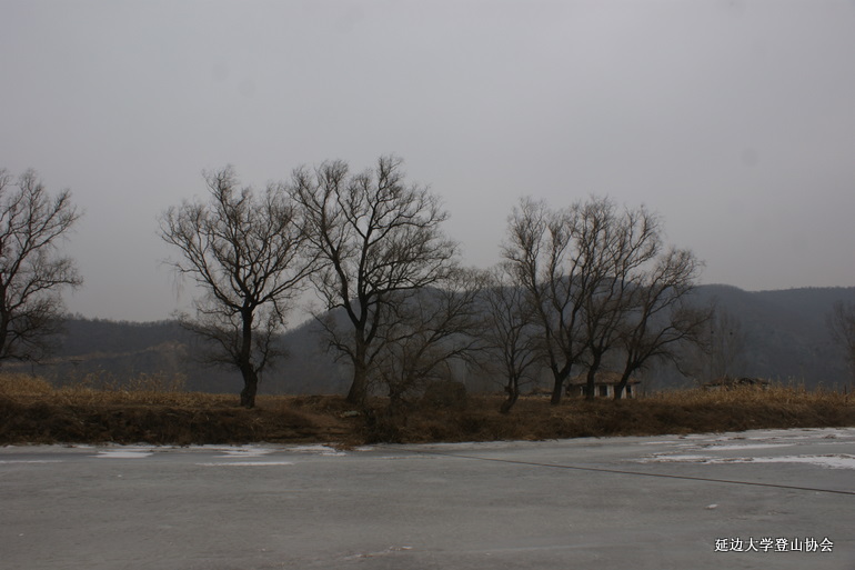 点击查看原图大小