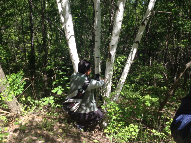 点击查看原图大小