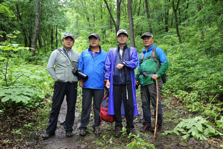 点击查看原图大小