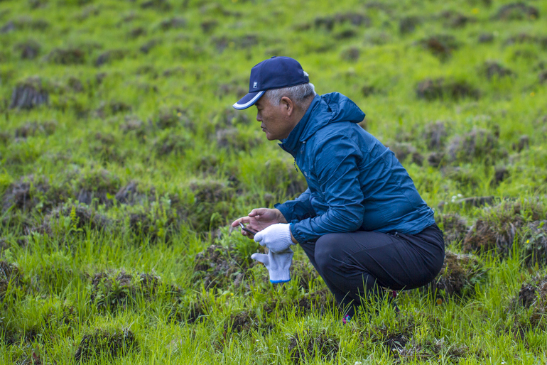 点击查看原图大小