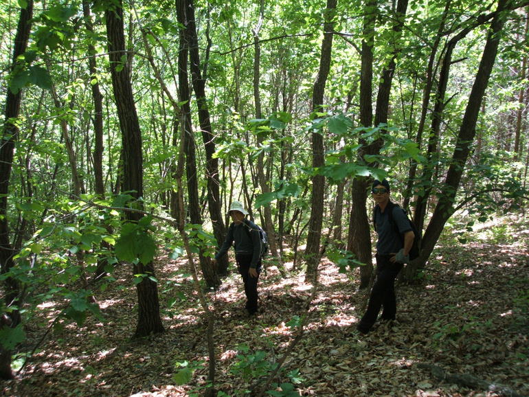 点击查看原图大小