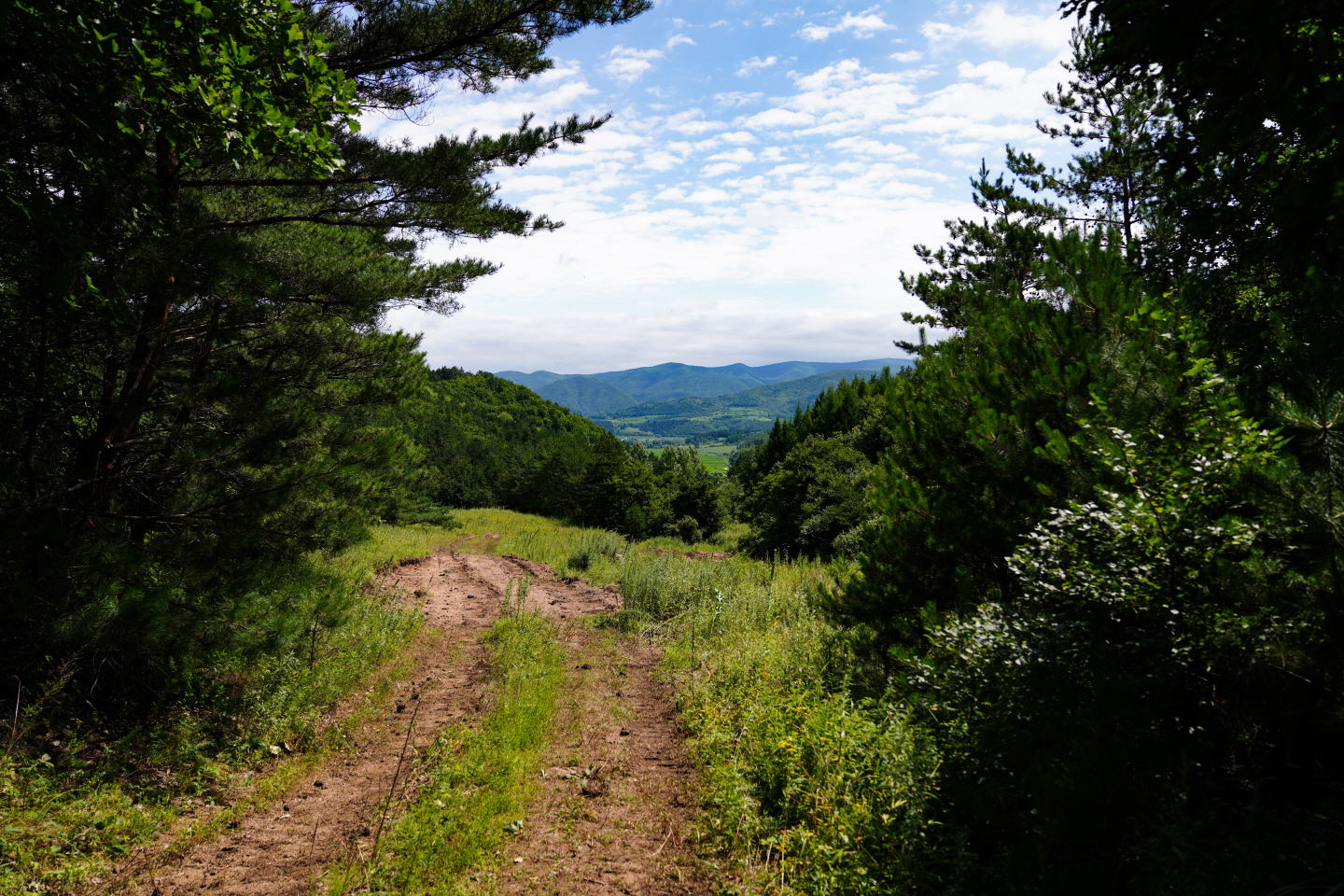 点击查看原图大小