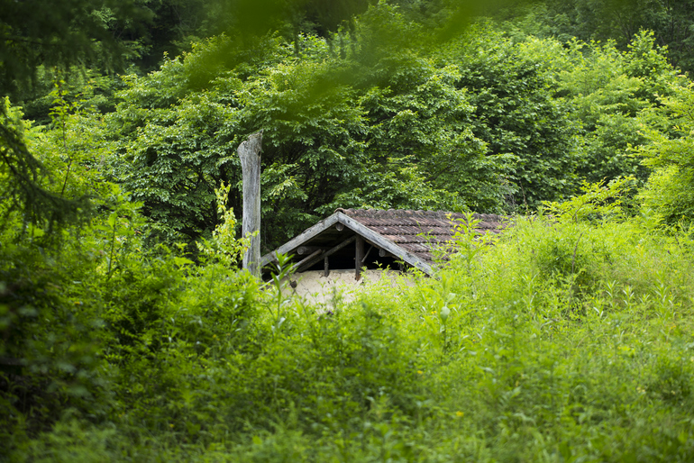 点击查看原图大小