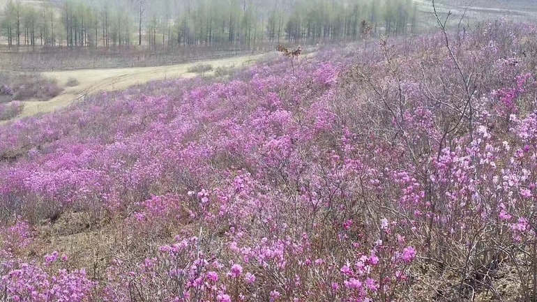 点击查看原图大小