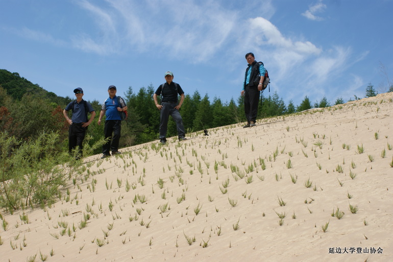 点击查看原图大小