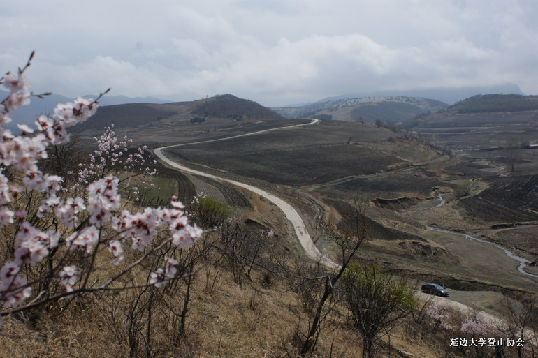 点击查看原图大小