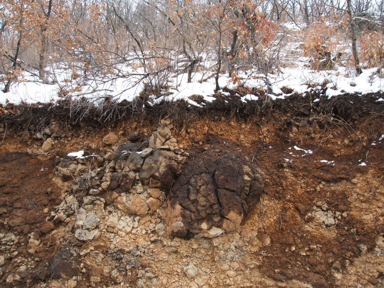 点击查看原图大小