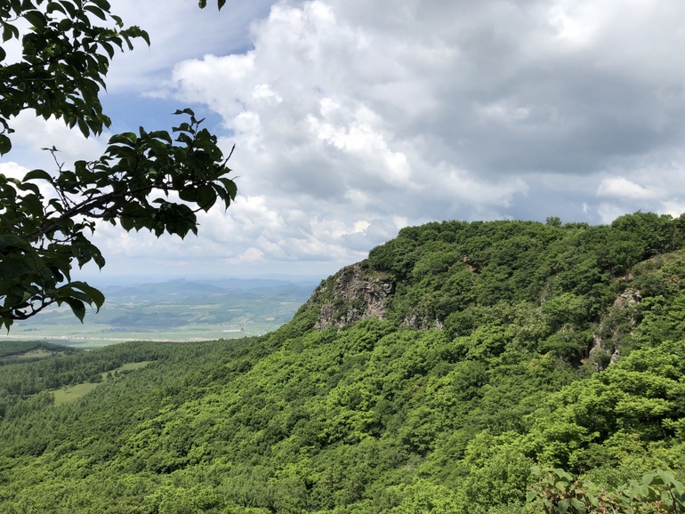 点击查看原图大小