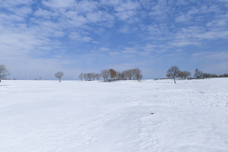 点击查看原图大小
