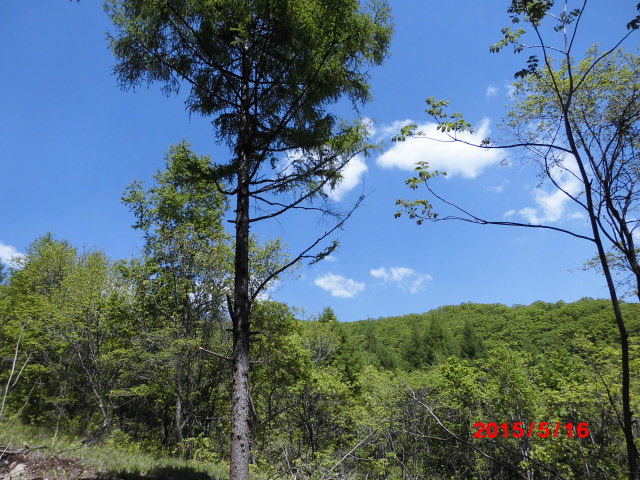 点击查看原图大小