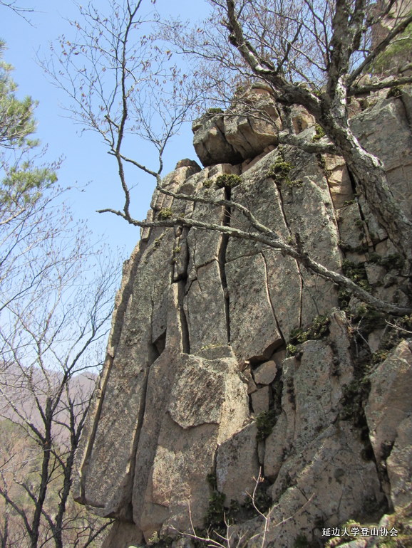 点击查看原图大小