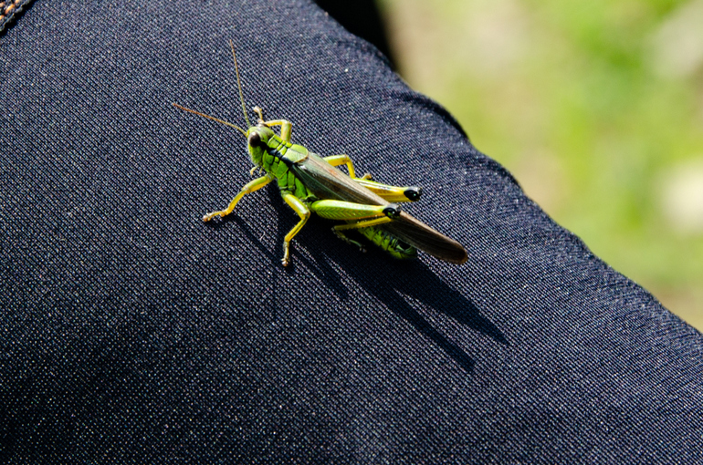 点击查看原图大小