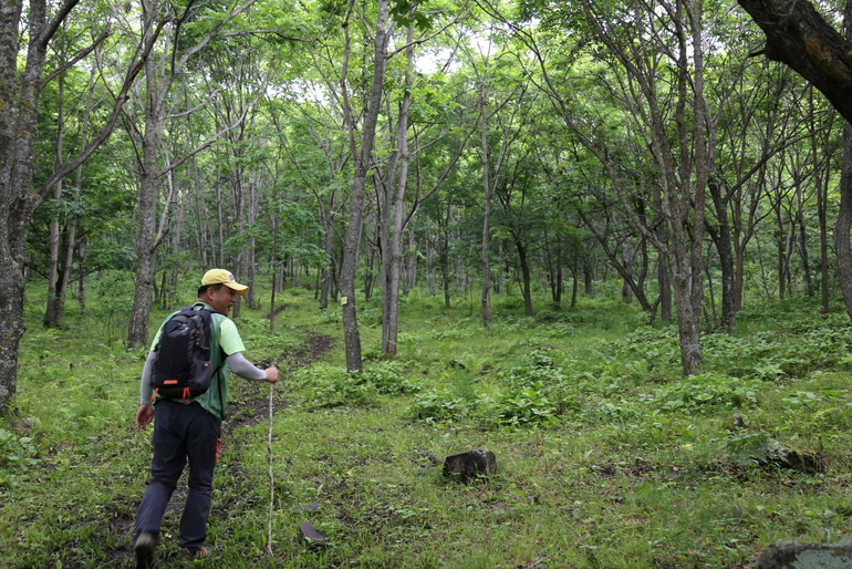 点击查看原图大小