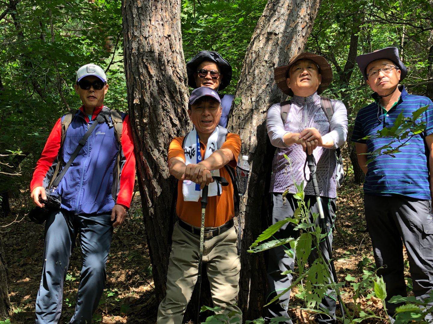 点击查看原图大小