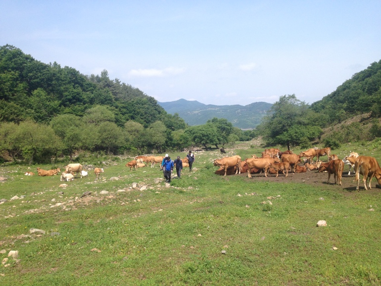 点击查看原图大小